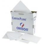 Carton-plume