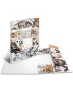 Chemise à rabats A3 - Motifs Chats HERMA