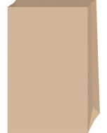 Pochette d'emballage en papier - 120 x 210 mm - Nature : FOLIA Lot de 15 Modèle