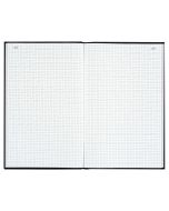 LE DAUPHIN : Registre 300 pages quadrillées avec foliotage - 297 x 210 mm