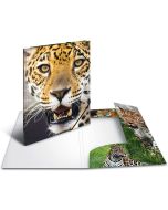 Chemise à rabats - A4 : HERMA Léopard Photo