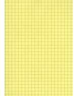 Fiches Bristol A4 - 297 x 210 mm - Jaune quadrillé ELVE B29713J Fournitures jaune