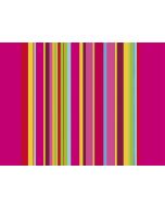 Sets de table Restaurant - Acidulé COGIR 314219 Lot de 500 image