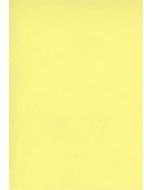 Fiches Bristol Unies A4 - 297 x 210 mm - Jaune : ELVE Lot de 100 Modèle