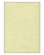 SIGEL DP605 : Lot de 100 feuilles Perga - Format A4 - Champagne