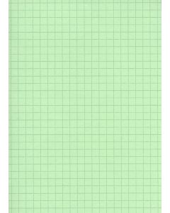 ELVE : Lot de 100 fiches bristol A4 - 297 x 210 mm  B29713V- Vert quadrillé (Fournitures)