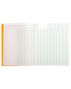 Registre comptable - 16  colonnes- 320 x 250 mm (EXACOMPTA 14160E Journal)