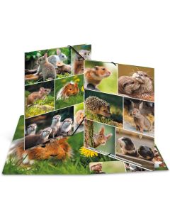 Chemise à élastiques A4 - Motif Rongeurs : HERMA image