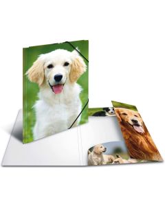 Chemise à rabats - Motif Chien - A4 : HERMA Image