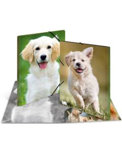 Chemise à rabats - A3 Chien : HERMA image