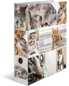 Classeur à 2 anneaux - Tendance métropole - Berlin : HERMA image