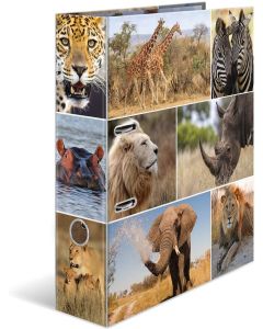 Classeur à 2 anneaux - Tendance métropole - Berlin : HERMA image