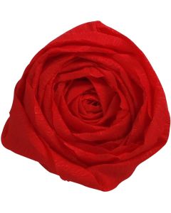 Papier Crépon - Rouge : CLAIREFONTAINE Photo