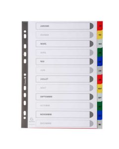 EXACOMPTA : Jeu de 12 intercalaires mensuels en PP janvier à décembre Classement index