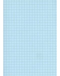 Fiches Bristol - 125 x 200 mm - Bleu quadrillé ELVE B12513B modèle