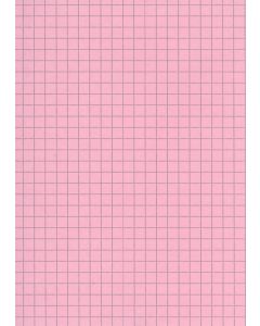 Fiches Bristol A4 - 297 x 210 mm - Rose quadrillé ELVE B29713R rose