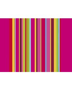 Sets de table Restaurant - Acidulé COGIR 314219 Lot de 500 image