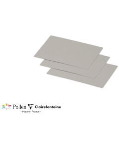 Photo POLLEN : Carte de papier Argent - Format 70 x 95 mm 11291C