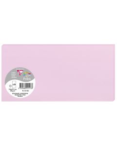Photo POLLEN Carte DL rose dragée 106 x 213 mm 1513C Clairefontaine