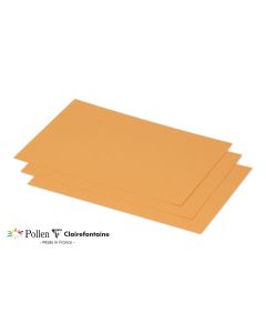 Photo POLLEN Carte Clémentine 158 x 222 mm C5 1636C Clairefontaine