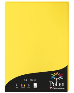 Photo Feuille de couleur Jaune soleil 210 x 297 mm A4 POLLEN 4217C