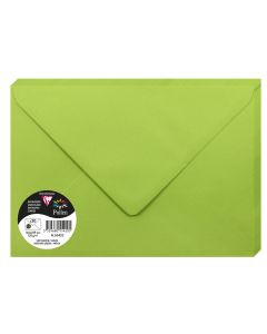 Photo Enveloppe POLLEN Vert Menthe Format  162 x 229 mm 5542C